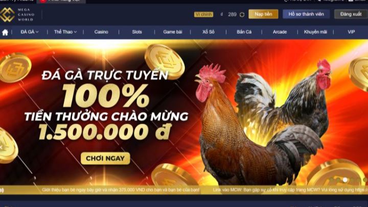 Hệ thống xếp hạng Vvvwin có thực sự đáng tin cậy như quảng cáo không? - Vvvwin