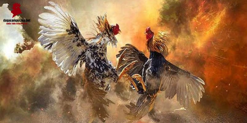 Giao diện được thiết kế đẹp mắt từ một trang web cổng game cấp R98 - R98