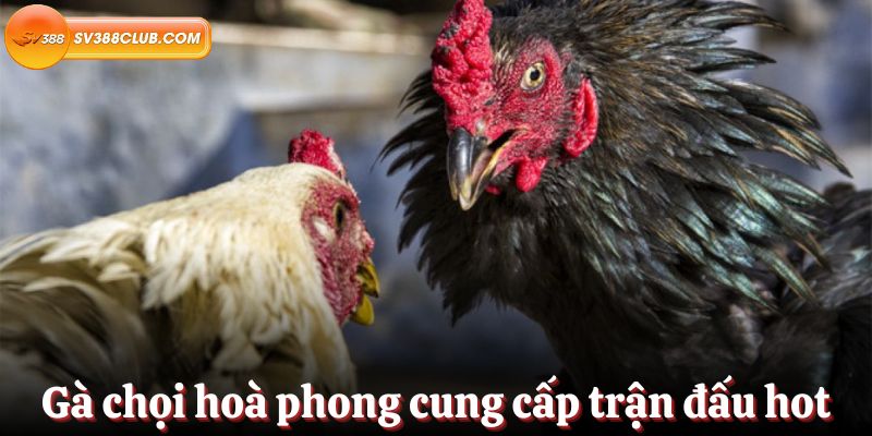 Xin giới thiệu Sen88, cổng game bài trực tuyến số 1! - Sen88