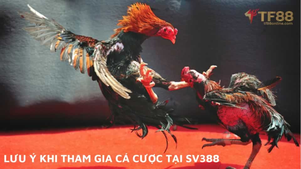 Hướng dẫn đăng ký và chơi game Soc88 trực tuyến - Soc88