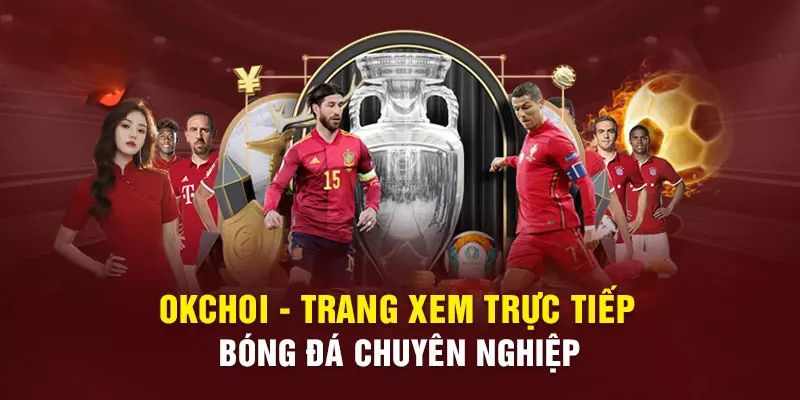 Đấu trường đá gà trực tuyến phổ biến nhất của Jj88 - Jj88