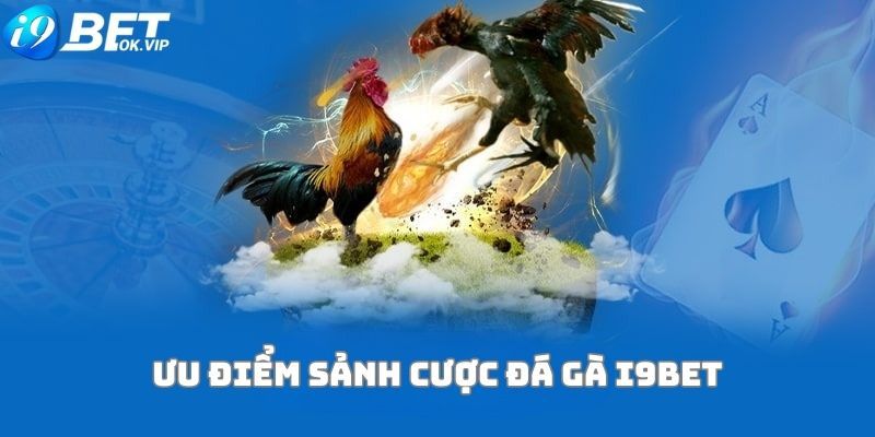 Môi giới cấp Okking có thể mang lại cho bạn thu nhập hàng tháng đáng kể - Okking