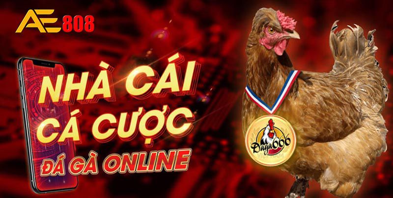Tải ứng dụng V9bet: Trải nghiệm cá cược trên di động - V9bet