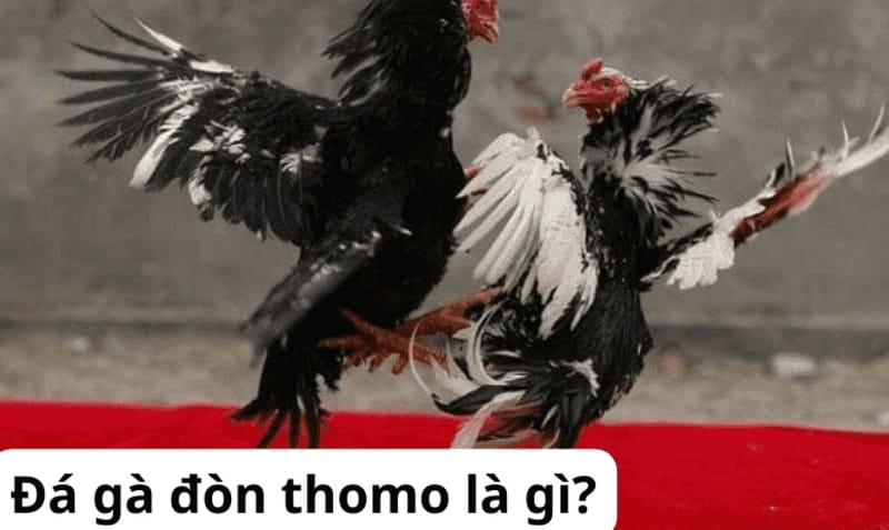 Tôi có cần trả phí để tải ứng dụng 789Win về điện thoại không? - 789Win