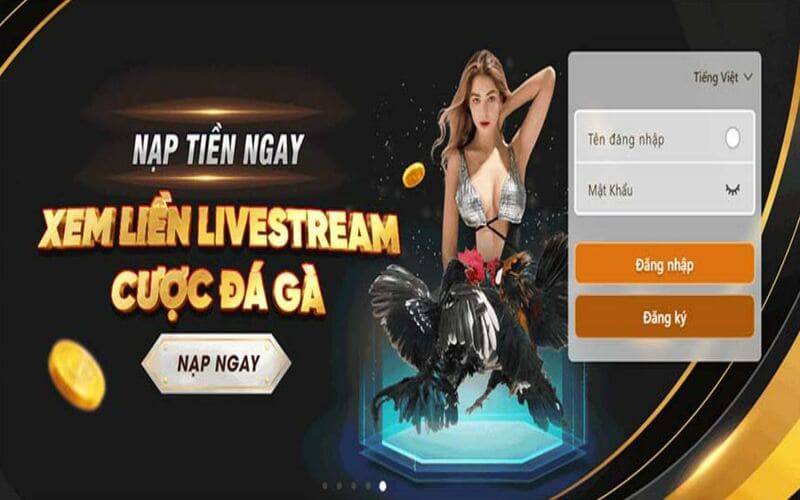 Tại sao bạn nên chọn Kim88 làm phương tiện giải trí của mình? - Kim88