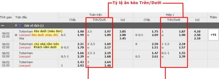 AG Bwin cung cấp những loại dịch vụ trò chơi nào? - Bwin