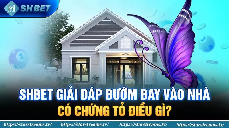 Truy cập liên kết di động Ev88 - Ev88