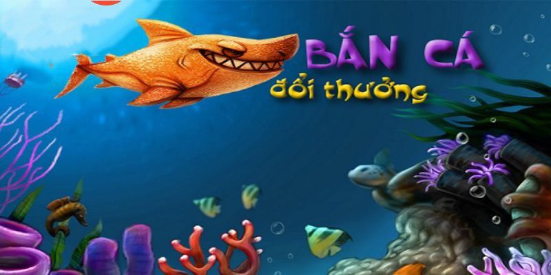 Lý do đặt tỷ lệ cược cho các trận đấu bóng đá cấp độ Fcb88 - Fcb88