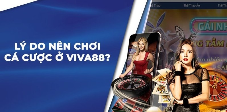 Cr88 có bao nhiêu địa điểm biểu diễn trực tiếp? - Cr88