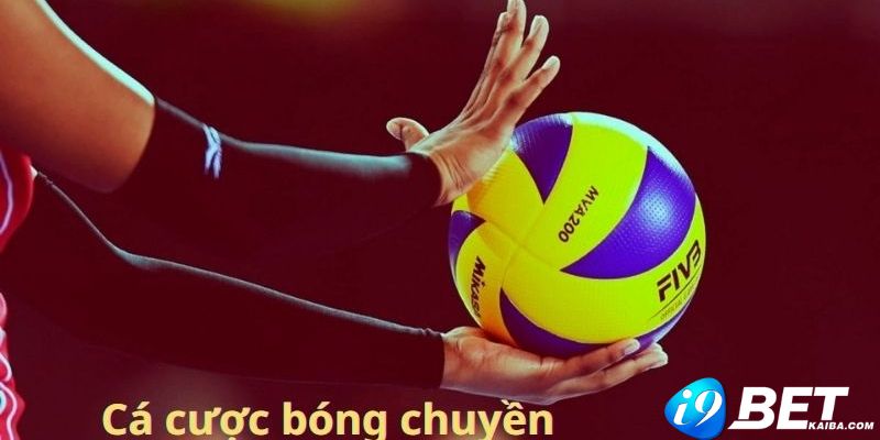 Những tựa game nào được xếp hạng Betvip xuất sắc? - Betvip